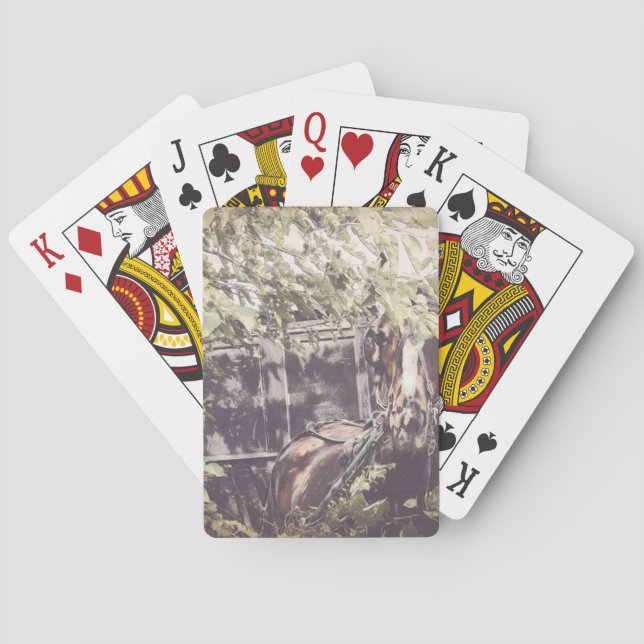 amish Waiting Horse Spel Kort (Baksidan)