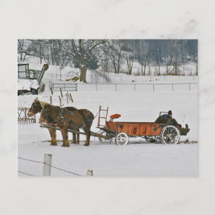 Amish Winter Farmer på Spreader-Postcard Vykort