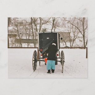 Amish Woman Loading Buggy-vykort Vykort