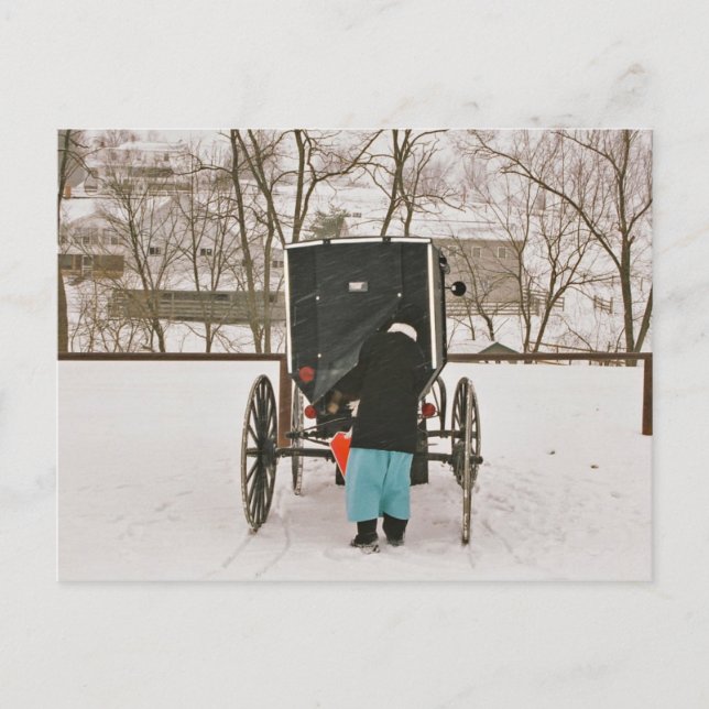 Amish Woman Loading Buggy-vykort Vykort (Framsida)