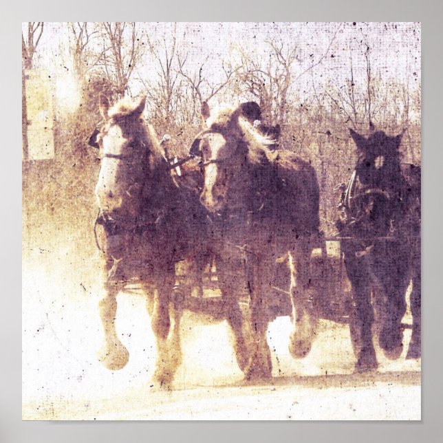 Amish Working Horses in Iowa Poster (Framsidan)