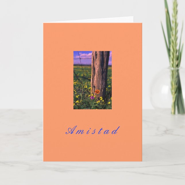 ’Amistad’ Helgkort (Framsida)
