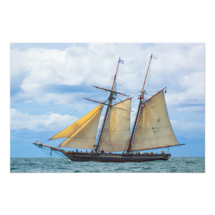 Amistad under Sail Fototryck