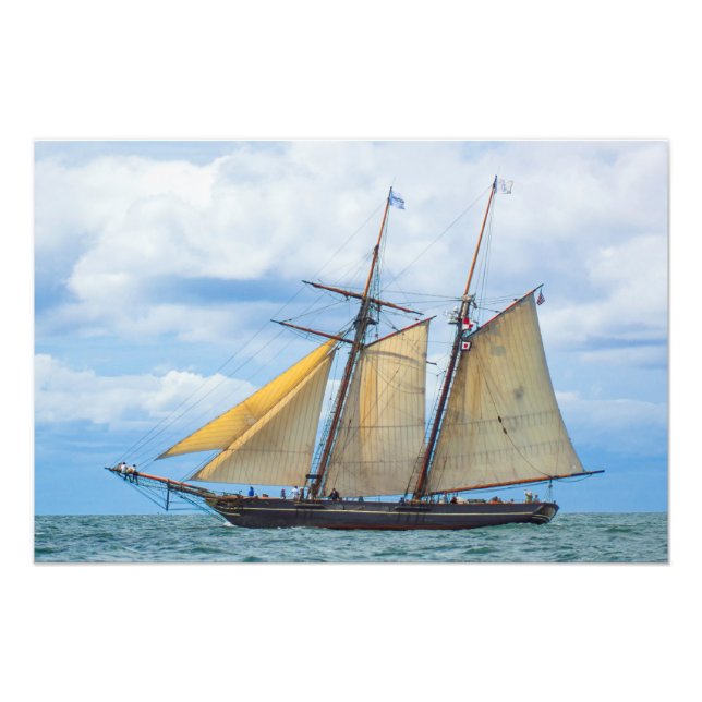 Amistad under Sail Fototryck (Framsidan)