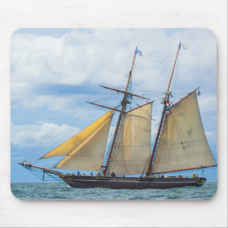 Amistad under Sail Musmatta