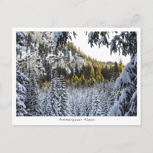 Ammergauer Alpen Vykort (Framsida)