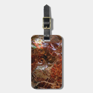 Ammolit Ammonite Bagagebricka