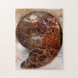 Ammolit Ammonite Pussel
