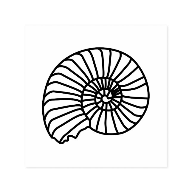 Ammonit Fossil Skal Strand Bild Endast Självfärgande Stämpel (Design)