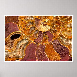 Ammonit Fossil Väggkonst | Jordton Abstrakt