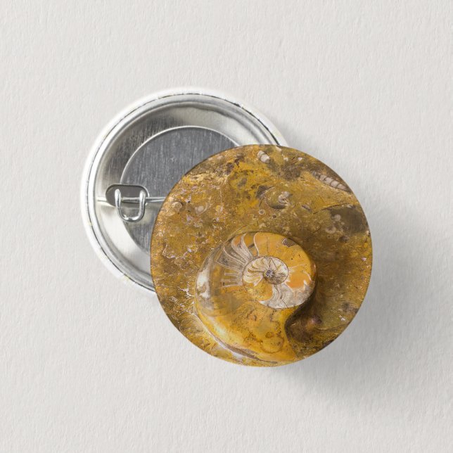 Ammonit och andra fossila bränslen i Sten Photo Knapp (Framsida & baksida)