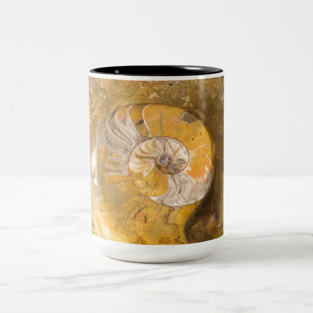 Ammonit och andra fossila bränslen i Sten Två-Tonad Mugg (Center)