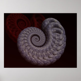 Ammonit skal poster