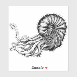 Ammonitdekal Klistermärken