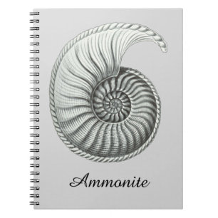 Ammonite Anteckningsbok