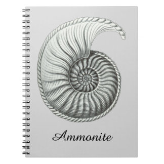 Ammonite Anteckningsbok