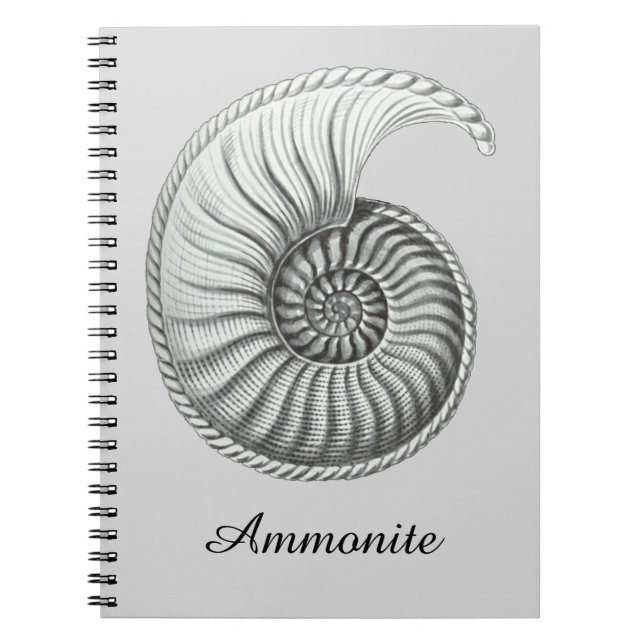 Ammonite Anteckningsbok (Framsidan)