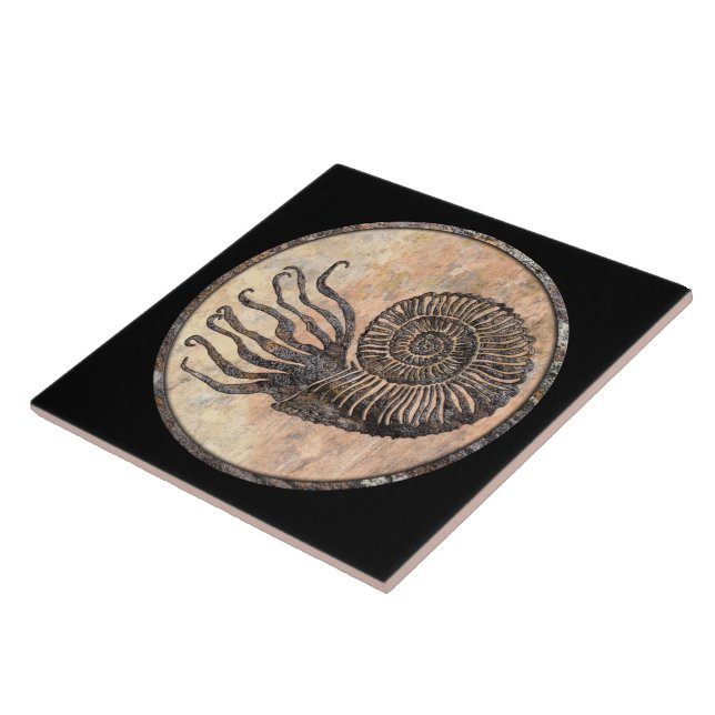 Ammonite Fossil Ceramic Tile Kakelplatta (Sidan)