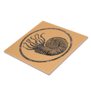Ammonite Fossil Ceramic Tile Kakelplatta