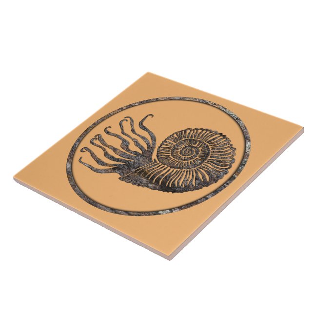 Ammonite Fossil Ceramic Tile Kakelplatta (Sidan)
