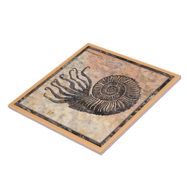 Ammonite Fossil Ceramic Tile Kakelplatta (Sidan)