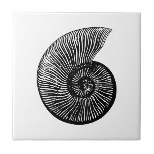 Ammonite Fossil Kakelplatta