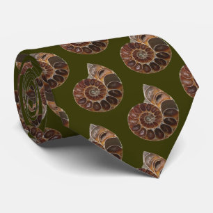 Ammonite Fossil Slips