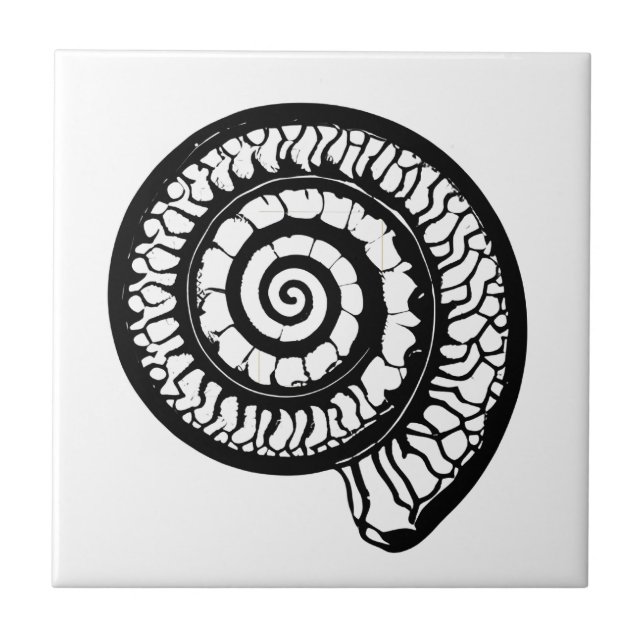 Ammonite Fossil - Spiral Seashell Kakelplatta (Framsidan)