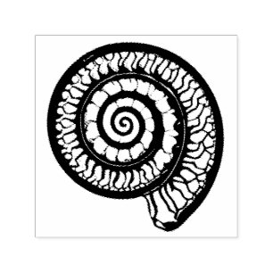 Ammonite Fossil - Spiral Seashell Självfärgande Stämpel