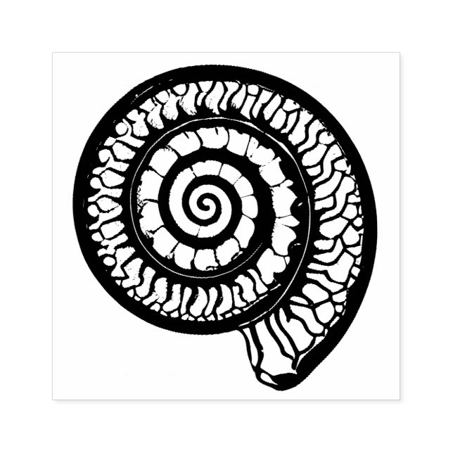 Ammonite Fossil - Spiral Seashell Stämpel (Tryck)