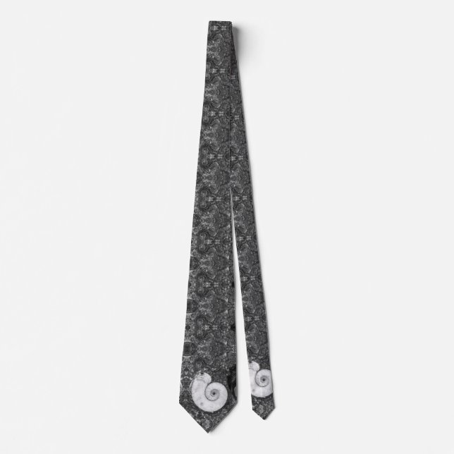 Ammonite Fossil Stone Tie Slips (Framsida)