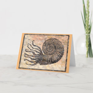 Ammonite Fossil Talking Canyons, New mexico Card Kort