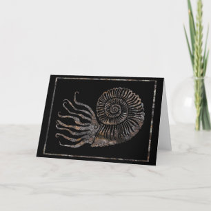Ammonite Fossil Talking Canyons, New mexico Card Kort