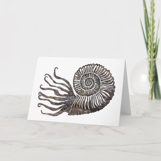 Ammonite Fossil Talking Canyons, New mexico Card Kort (Framsida)