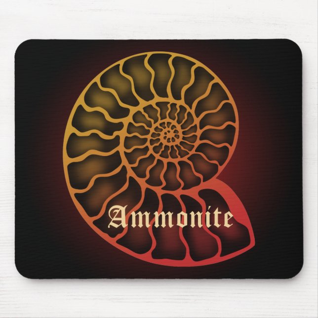 Ammonite Musmatta (Framsidan)