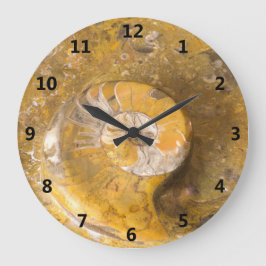 Ammonite och andra fossil i stenfotografi stor klocka