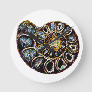 Ammonite Rund Klocka