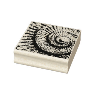 Ammonite struktur stämpel