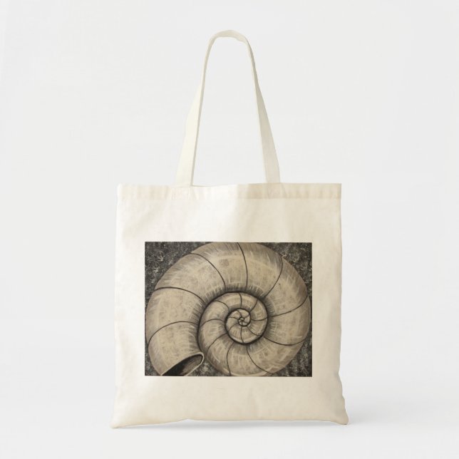 Ammonite Tygkasse (Framsidan)