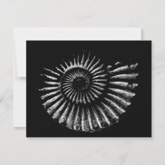 Ammonite White på Black Flat Helgdag Card Julkort