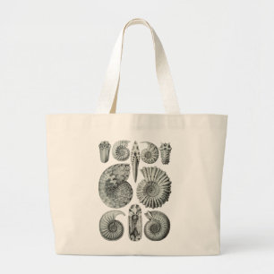 Ammonites Jumbo Tygkasse