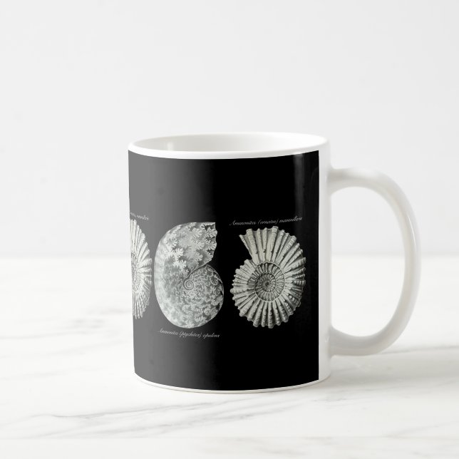 Ammonites Kaffemugg (Höger)