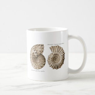 Ammonites Kaffemugg