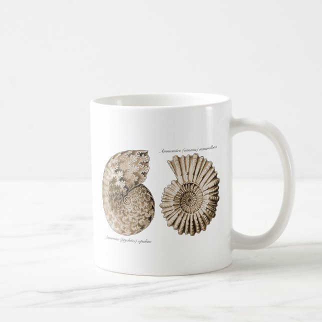 Ammonites Kaffemugg (Höger)