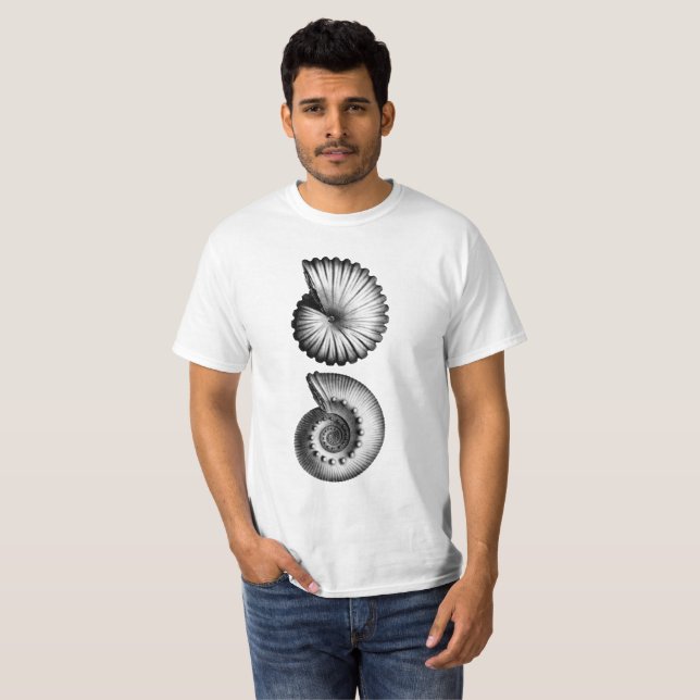 Ammonites Spp. Tee (Hel framsida)