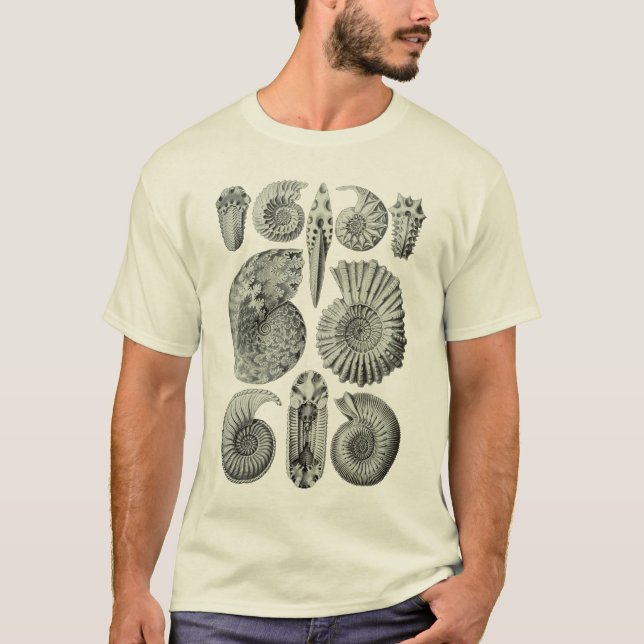 Ammonites T Shirt (Framsida)