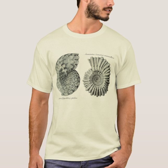Ammonites T-shirt (Framsida)
