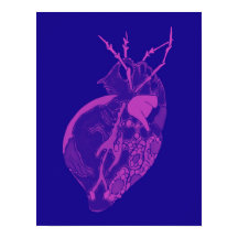 Amoeba Minx: Orchid Petals