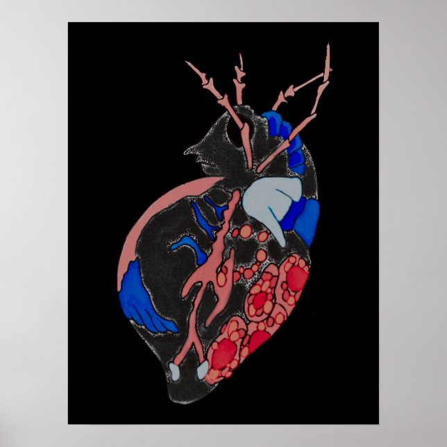 Amoeba Minx: Veins & Vessels Poster (Framsidan)