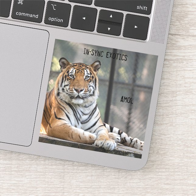 Amol - klistermärken (Detalj)